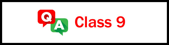 St. John’s Public School Beliaghata